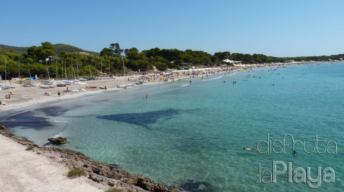 Platja de ses Salines
