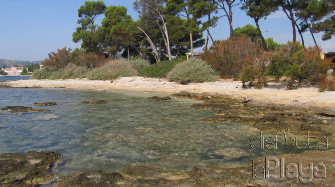Port Vell