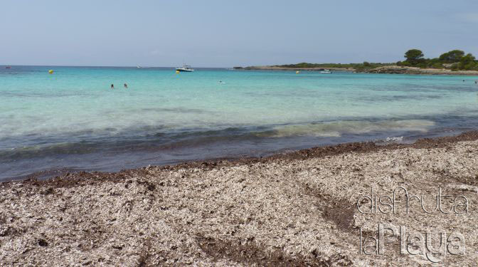 Platja d´es Banyul