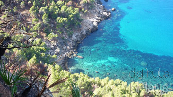 Cala de ses Ortigues