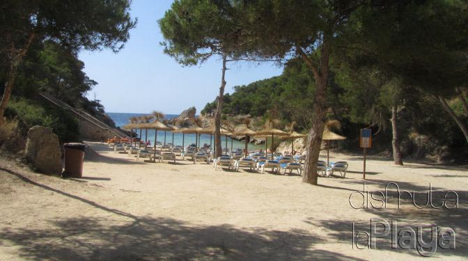 Cala Falcó
