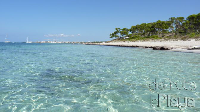 Platja de ses Roquetes