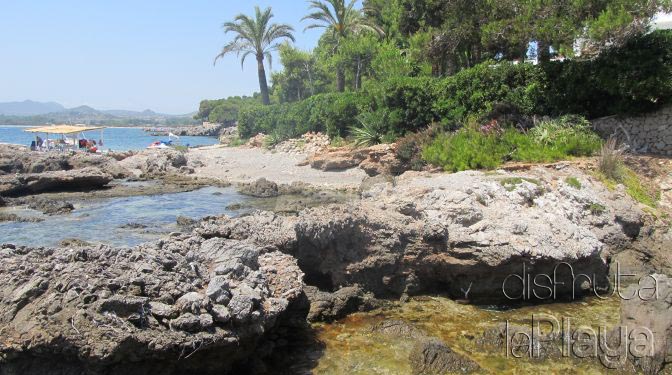 Costa de los Pinos