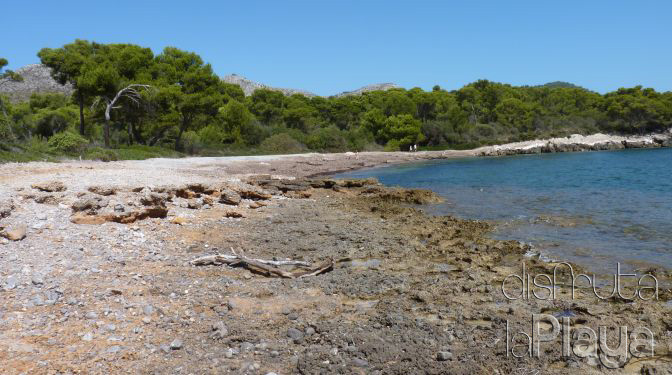 Platja dels cecs