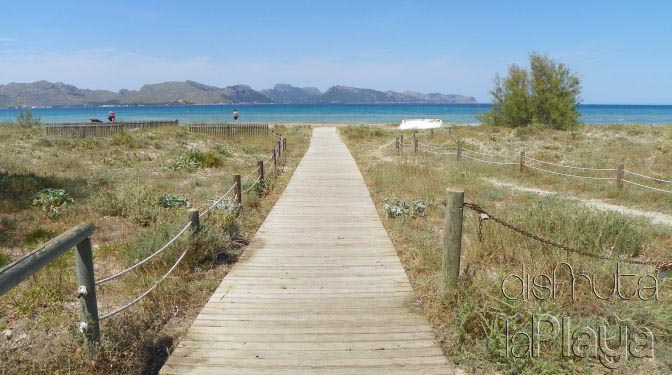 Platja sa Marina