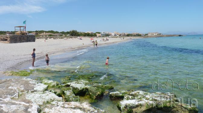 Arenal de sa Canova