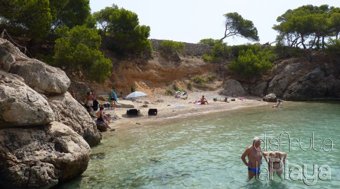 Punta Negra